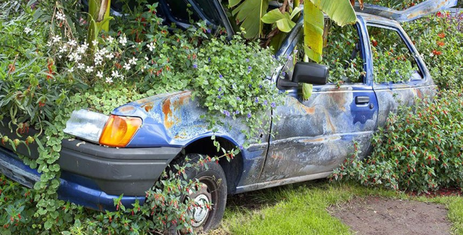 Invasión natural © Javier Aranburu