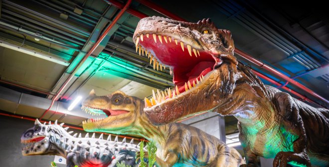 Dino Kids Experience