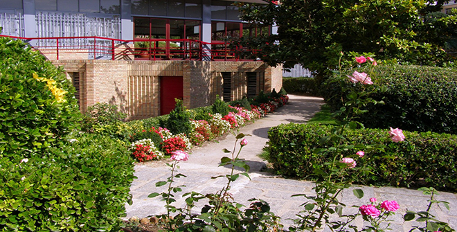 Colegio Mayor Santa Mónica