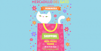 Mercadillo del Gato