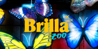 Brilla Madrid Zoo