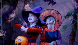 ¡Llega Halloween 2025 a Faunia! Truco o Haribo