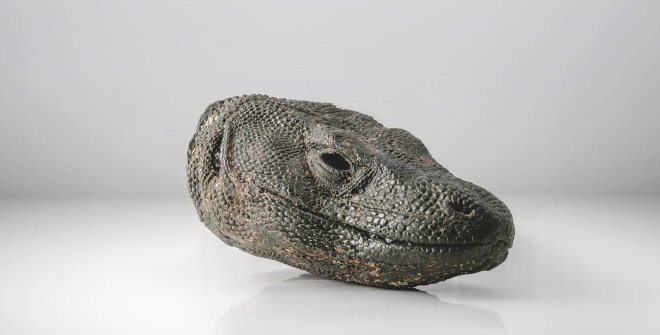 De brebajes y serpientes