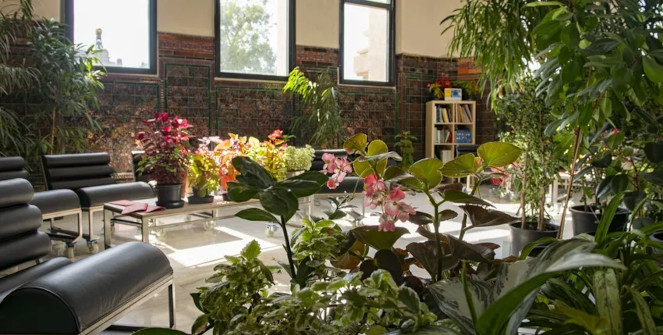 Espacio Cultural Vegetal