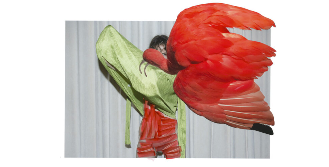 Viviane Sassen. Eudocimus Ruber, 2017 © Viviane Sassen