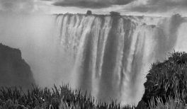 Aqua Mater. Sebastião Salgado