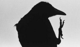 Masahisa Fukase, Ravens, Erimo Cape, 1976 © Masahisa Fukase Archives
