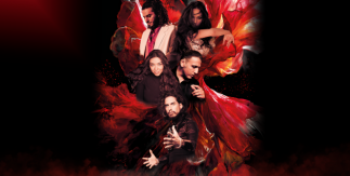 Pura verdad - Flamenco