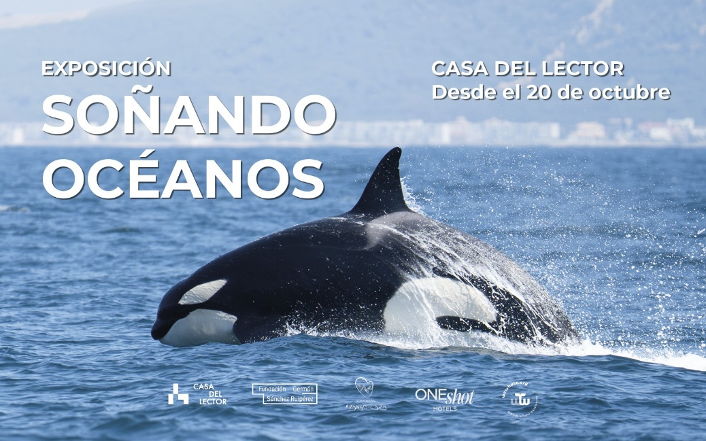 Soñando océanos