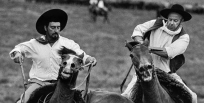 Gauchos