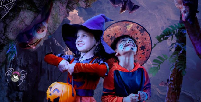 ¡Llega Halloween 2025 a Faunia! Truco o Haribo