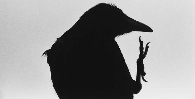 Masahisa Fukase, Ravens, Erimo Cape, 1976 © Masahisa Fukase Archives