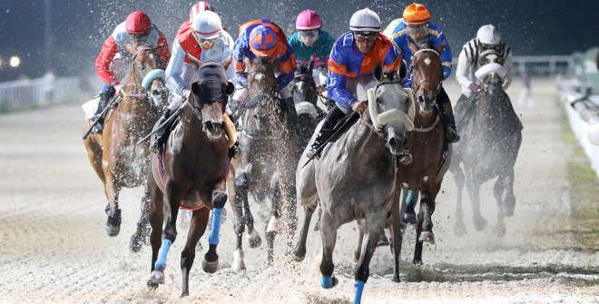 Carreras en el Hipódromo de la Zarzuela