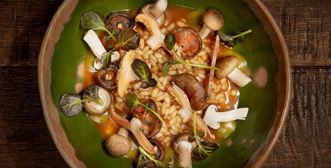 Arroz con níscalos de EL INVERNADERO  Ponzano, 85. RÍOS ROSAS / CUATRO CAMINOS. Tel. 628 93 93 67